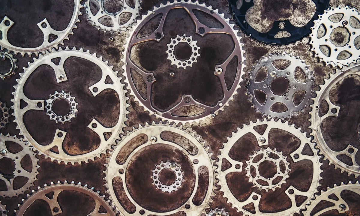 Interlocking gears representing predator and prey cycles