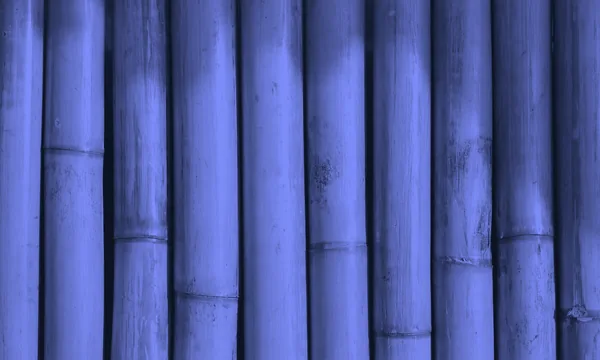 Bamboo branches bending flexibly under the force of the wind.