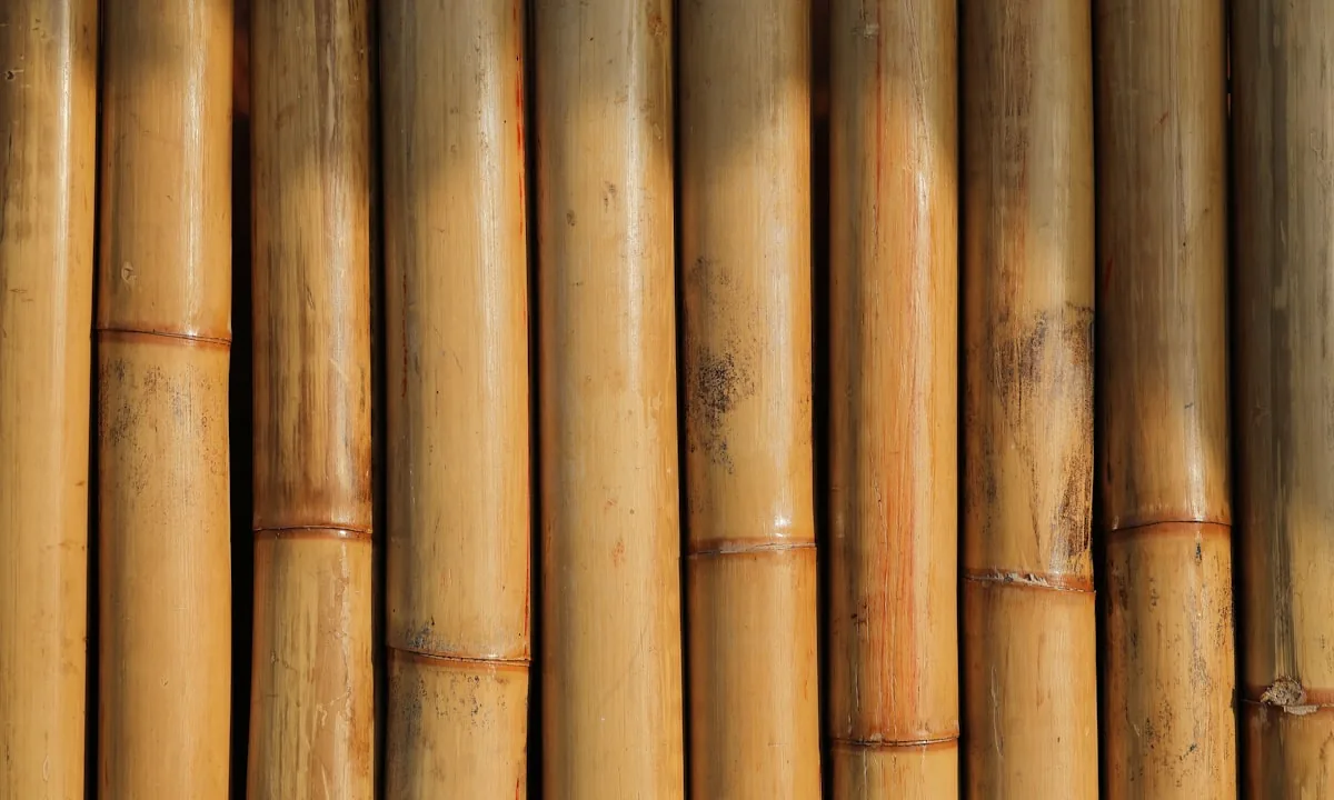 Bamboo branches bending flexibly under the force of the wind.