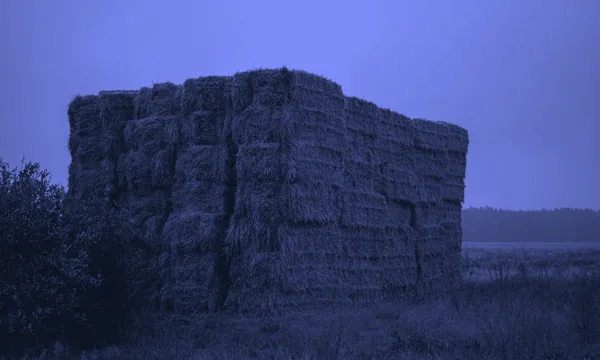 Finding a subtle AI bug in complex code is like finding a needle in a haystack.