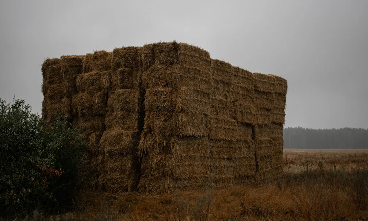 Finding a subtle AI bug in complex code is like finding a needle in a haystack.