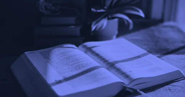 The Art of Attention: Where We Look Is Where We Live