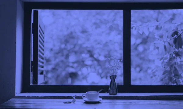 A cup of coffee by the window, symbolizing unplugged moments