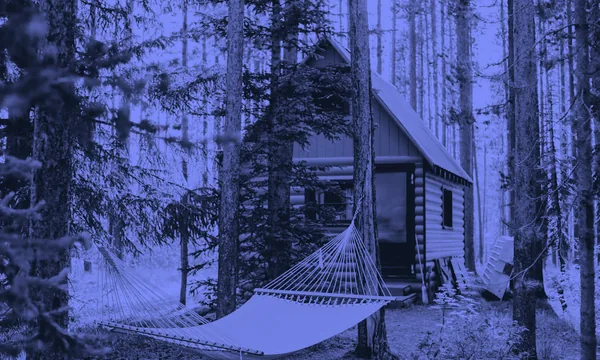 A quiet cabin in the forest, representing an inner sanctuary