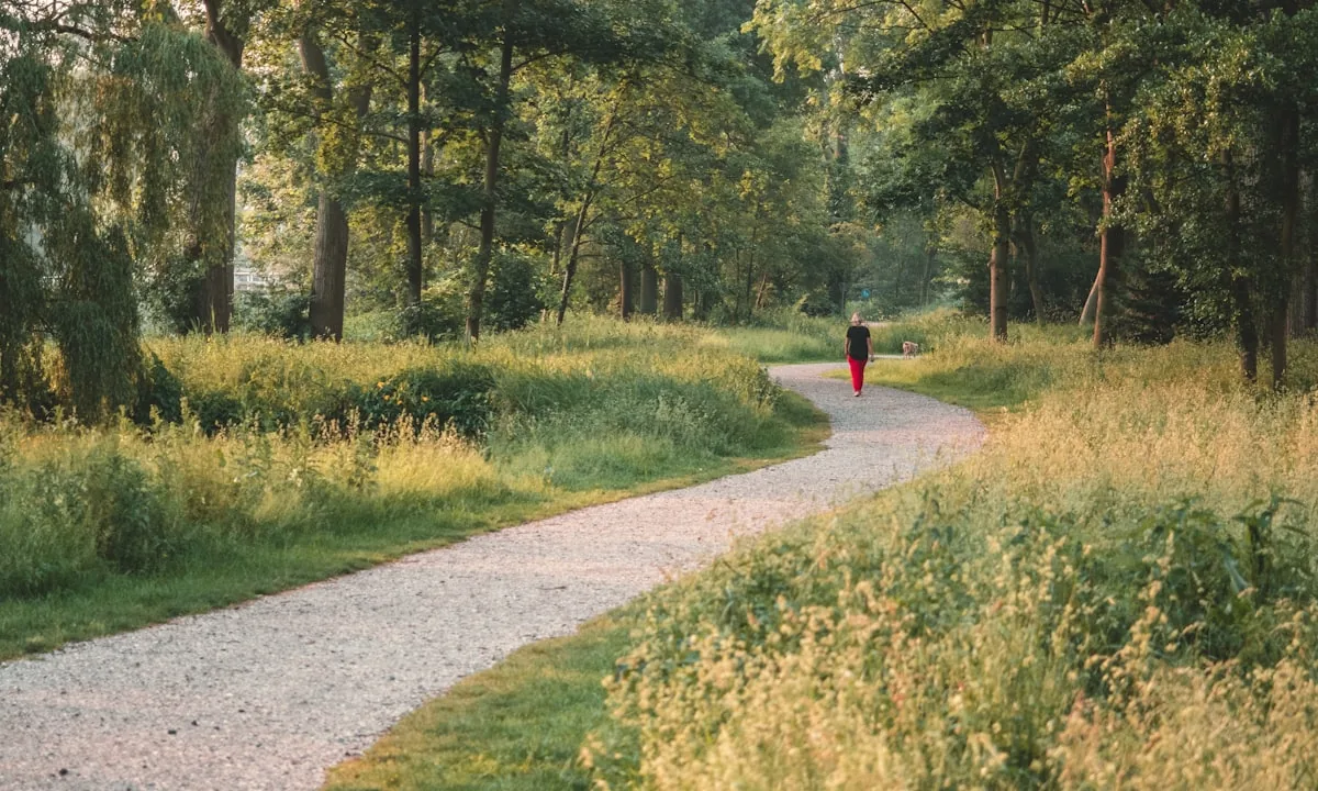 Person taking a relaxing walk in a park to recharge