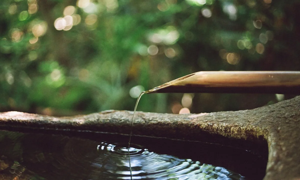Close up of water slowly dripping onto a solid stone.