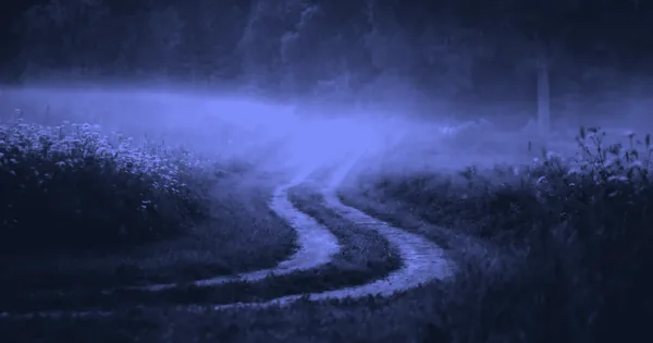 The Wisdom of Detours: Finding Purpose in Life's Interruptions