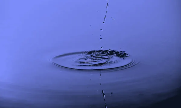 Microscopic view of liquid droplet evaporation dynamics