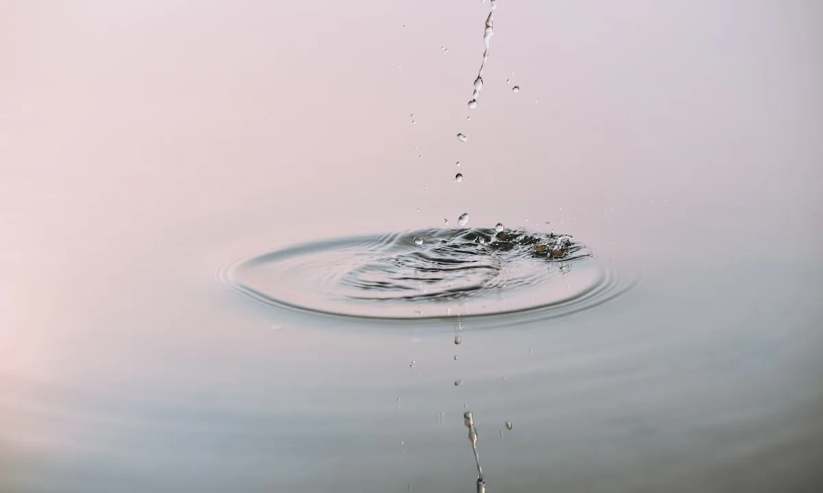 Microscopic view of liquid droplet evaporation dynamics