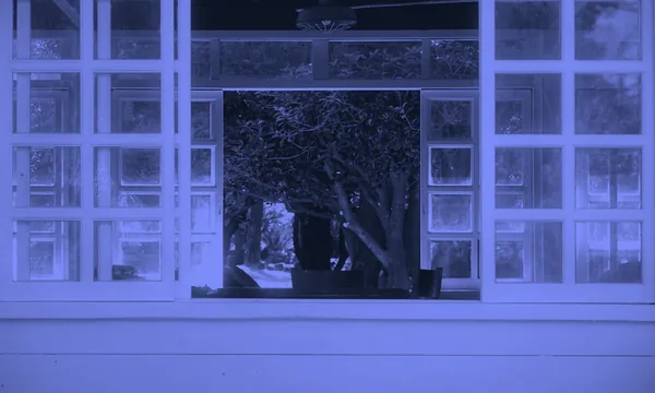 An open notebook with a pen sitting beside a window overlooking a quiet garden