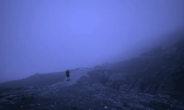 A lone traveler walking along a winding mountain trail shrouded in morning fog