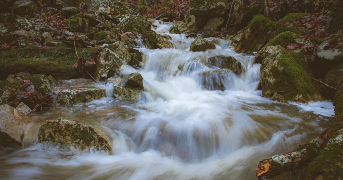 The Illusion of Control: Finding Peace in Acceptance