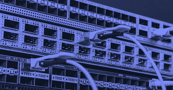 When AI Crawlers Break Open Source: Gentoo's Wake-Up Call